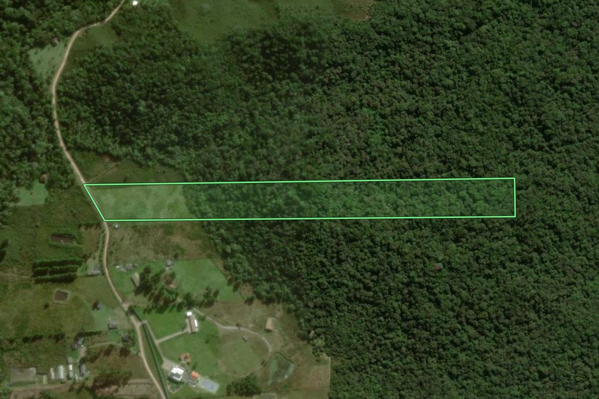 Imagem de satélite do imóvel rural em São José dos Pinhais (PR), com o contorno declarado no CAR desenhado por cima.