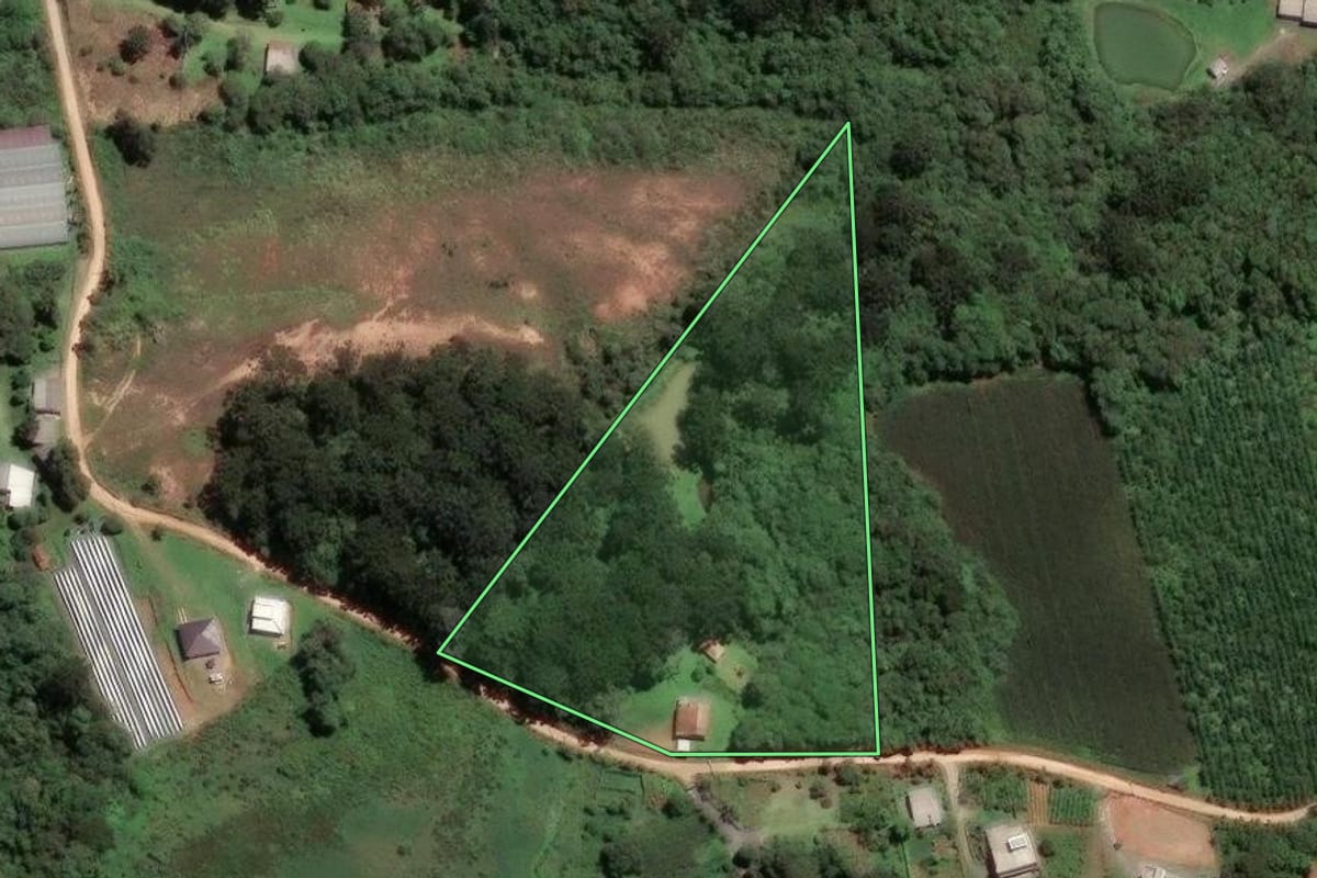 Imagem de satélite do imóvel rural em São José dos Pinhais (PR), com o contorno declarado no CAR desenhado por cima.