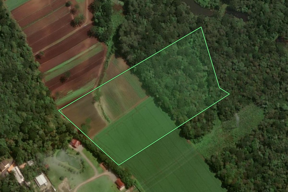 Imagem de satélite do imóvel rural em São José dos Pinhais (PR), com o contorno declarado no CAR desenhado por cima.