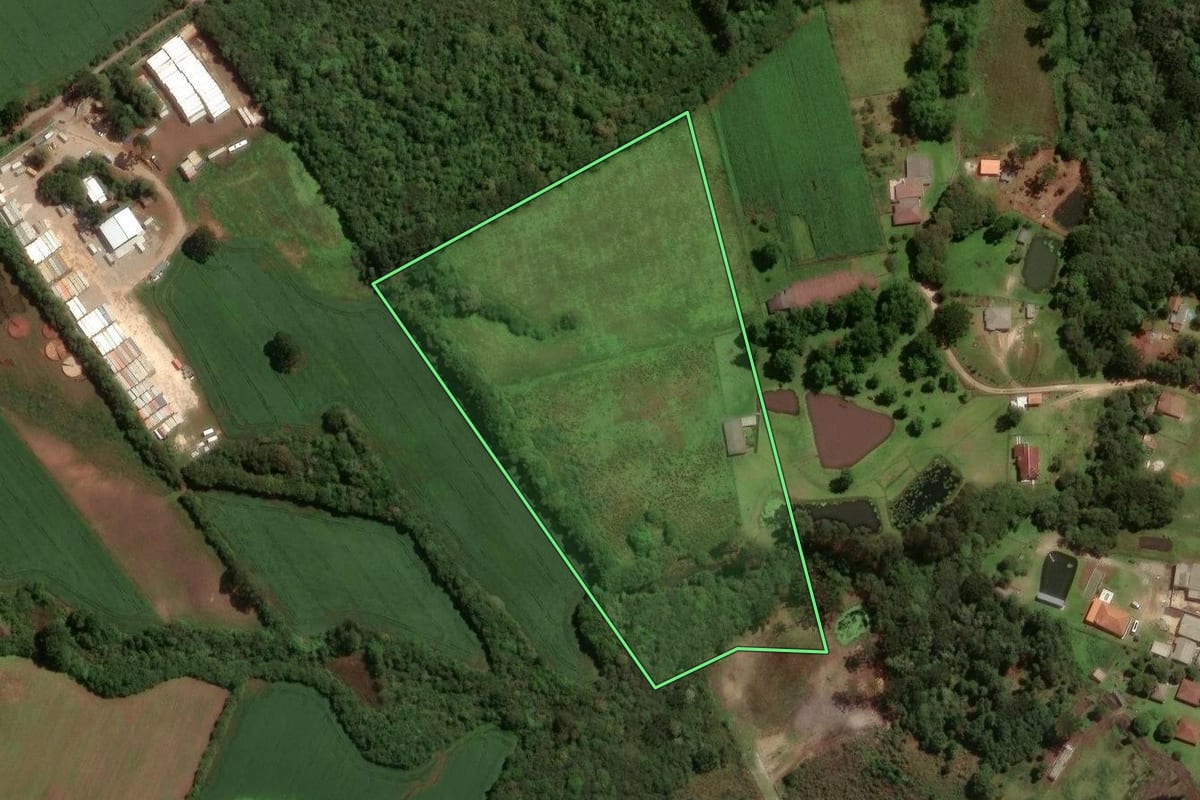 Imagem de satélite do imóvel rural em São José dos Pinhais (PR), com o contorno declarado no CAR desenhado por cima.