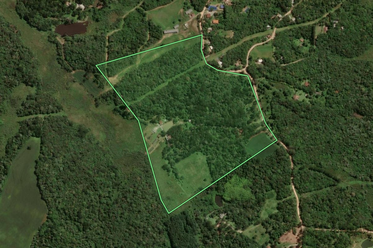 Imagem de satélite do imóvel rural em São José dos Pinhais (PR), com o contorno declarado no CAR desenhado por cima.