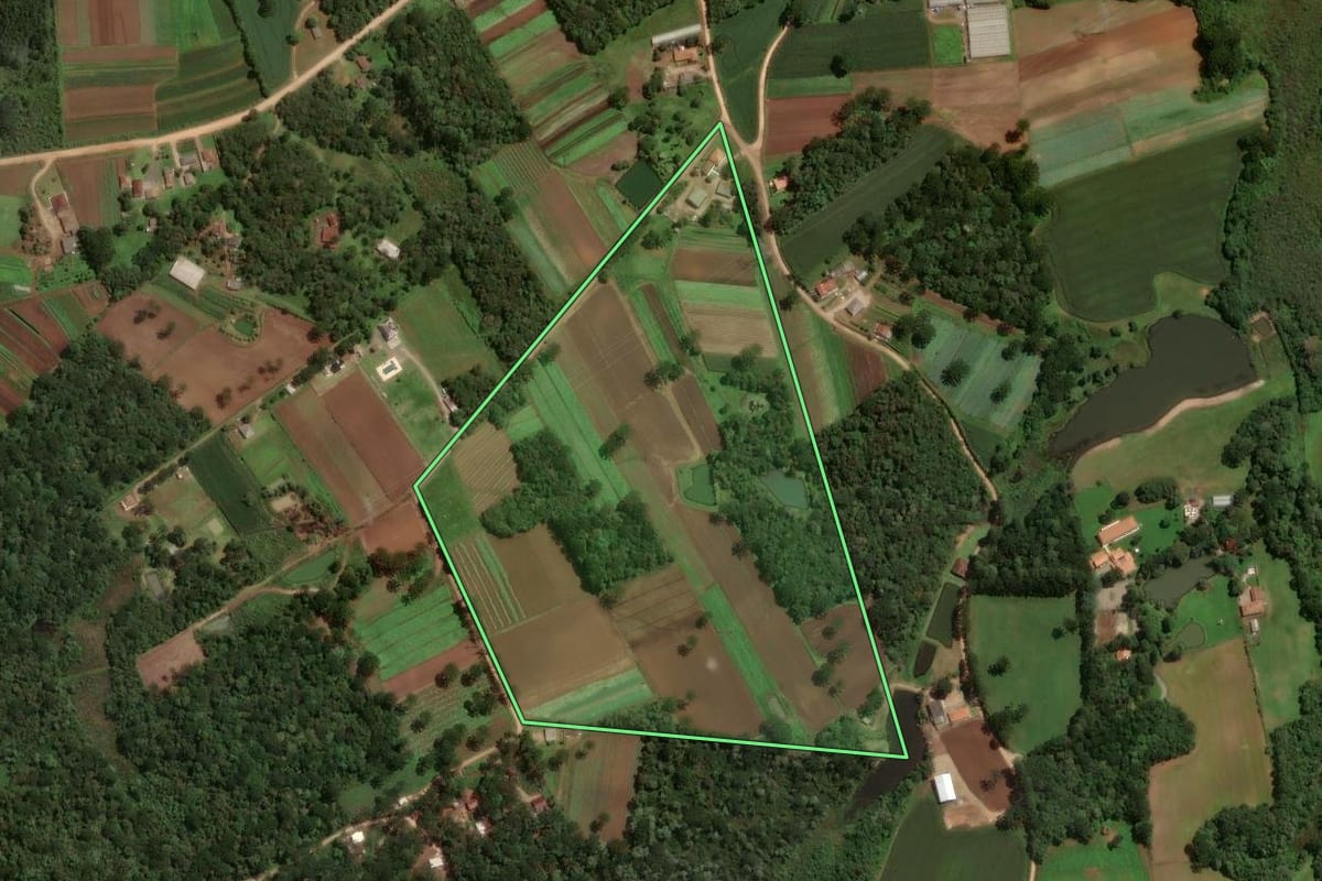 Imagem de satélite do imóvel rural em São José dos Pinhais (PR), com o contorno declarado no CAR desenhado por cima.