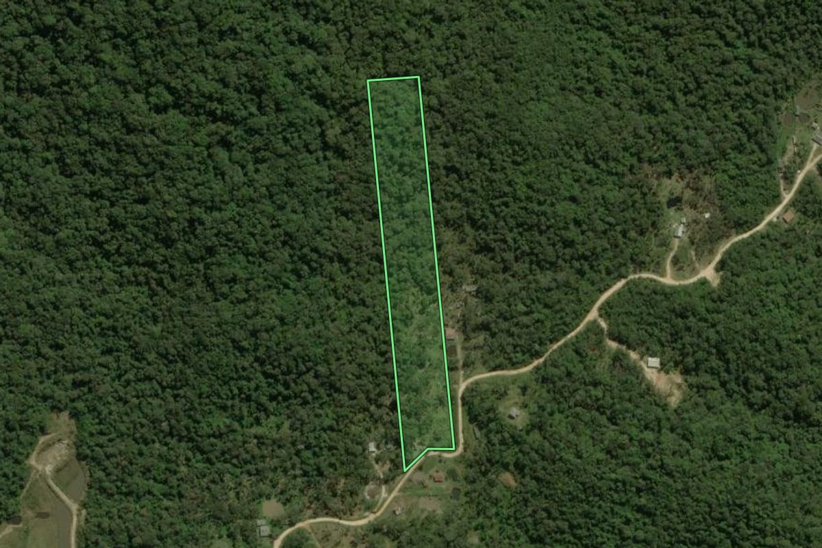 Imagem de satélite do imóvel rural em São José dos Pinhais (PR), com o contorno declarado no CAR desenhado por cima.