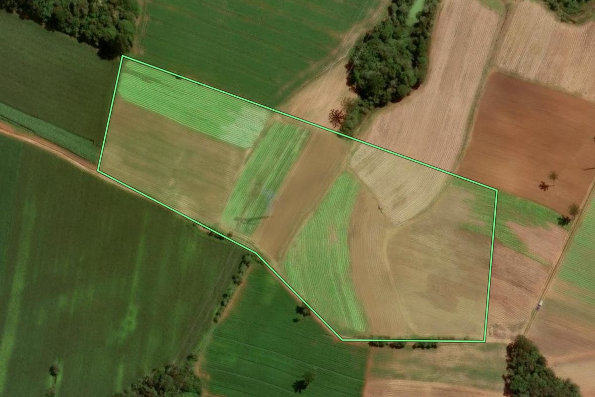 Imagem de satélite do imóvel rural em São José dos Pinhais (PR), com o contorno declarado no CAR desenhado por cima.