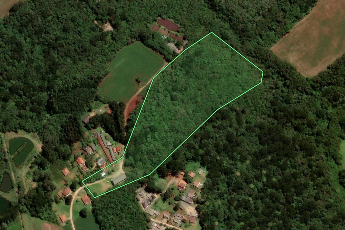 Imagem de satélite do imóvel rural em São José dos Pinhais (PR), com o contorno declarado no CAR desenhado por cima.