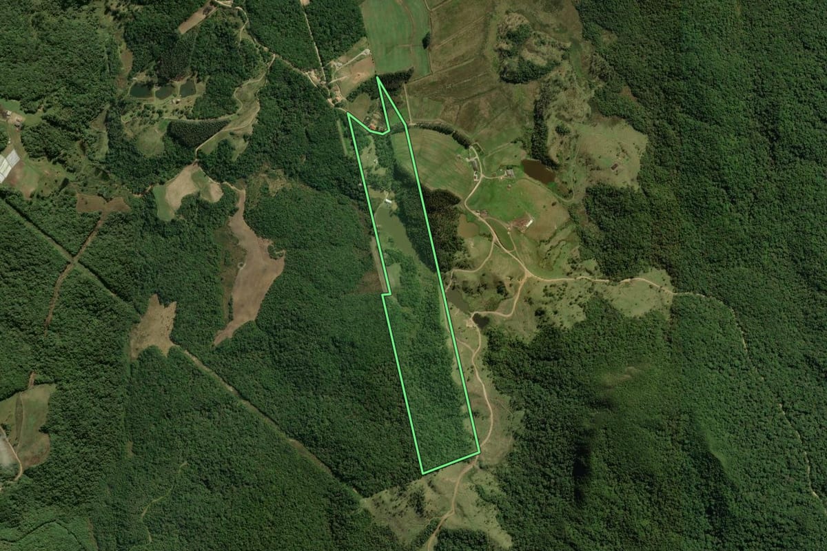 Imagem de satélite do imóvel rural em São José dos Pinhais (PR), com o contorno declarado no CAR desenhado por cima.
