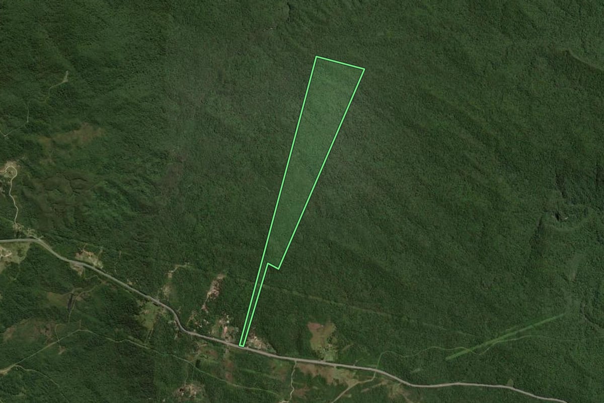Imagem de satélite do imóvel rural em São José dos Pinhais (PR), com o contorno declarado no CAR desenhado por cima.
