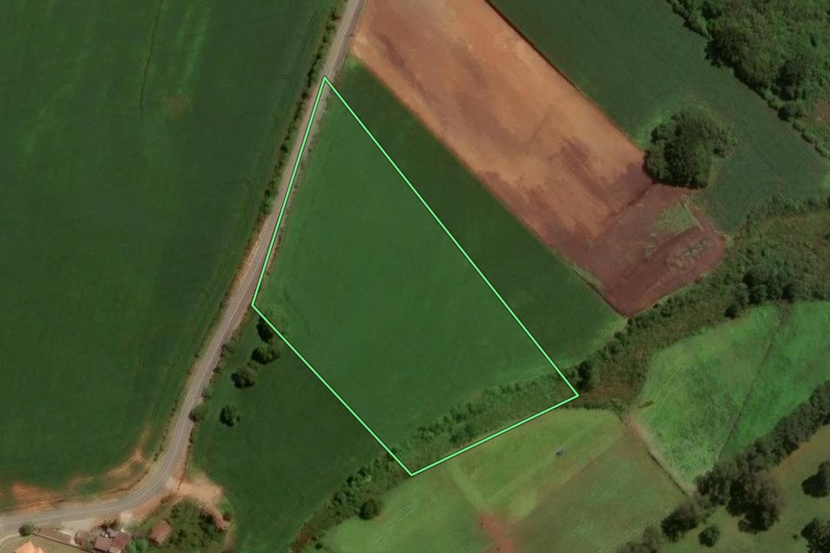 Imagem de satélite do imóvel rural em São José dos Pinhais (PR), com o contorno declarado no CAR desenhado por cima.