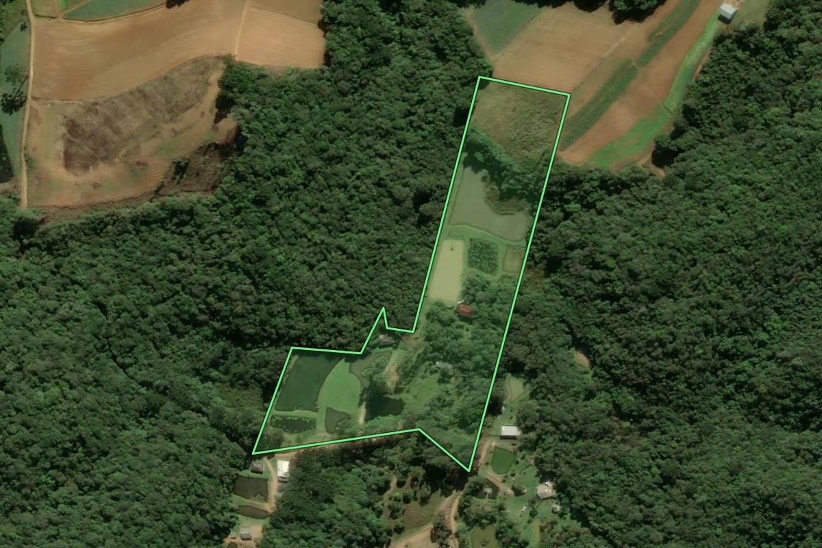 Imagem de satélite do imóvel rural em São José dos Pinhais (PR), com o contorno declarado no CAR desenhado por cima.