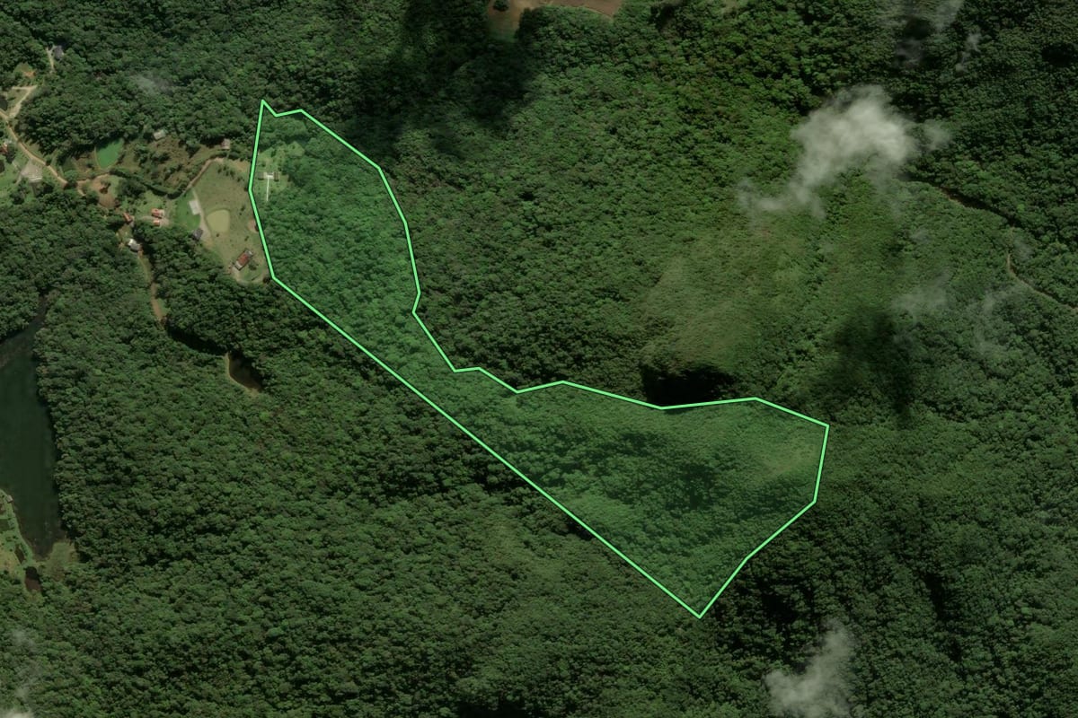 Imagem de satélite do imóvel rural em São José dos Pinhais (PR), com o contorno declarado no CAR desenhado por cima.