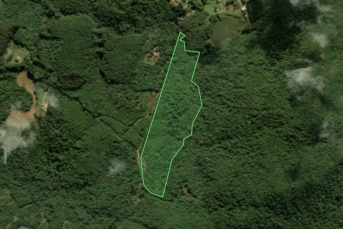 Imagem de satélite do imóvel rural em São José dos Pinhais (PR), com o contorno declarado no CAR desenhado por cima.