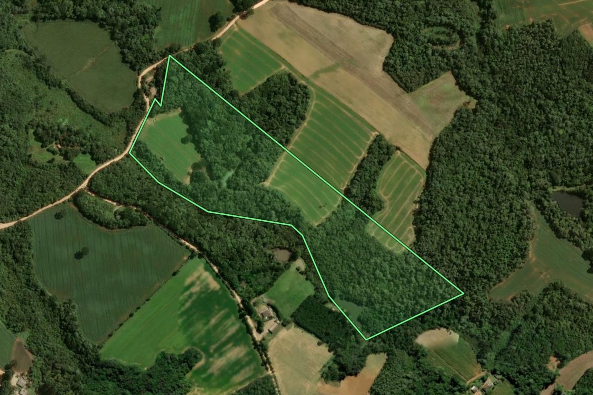 Imagem de satélite do imóvel rural em São José dos Pinhais (PR), com o contorno declarado no CAR desenhado por cima.