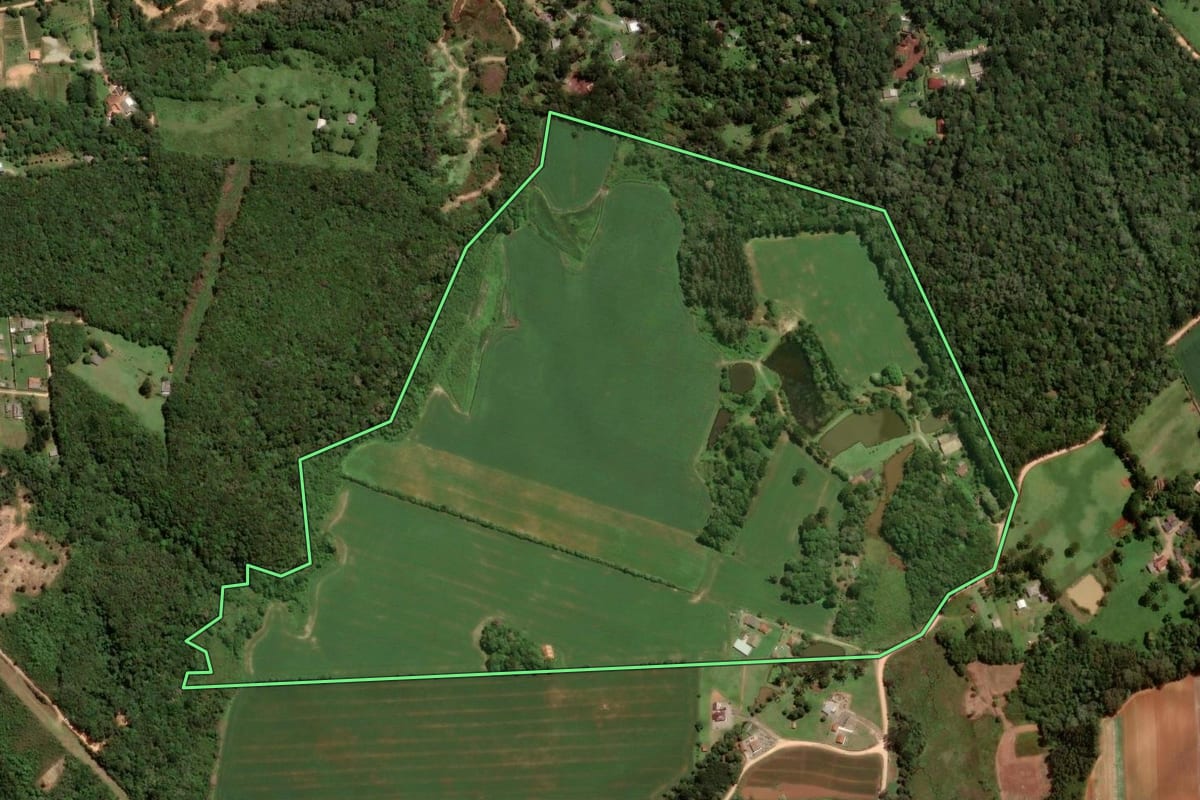 Imagem de satélite do imóvel rural em São José dos Pinhais (PR), com o contorno declarado no CAR desenhado por cima.