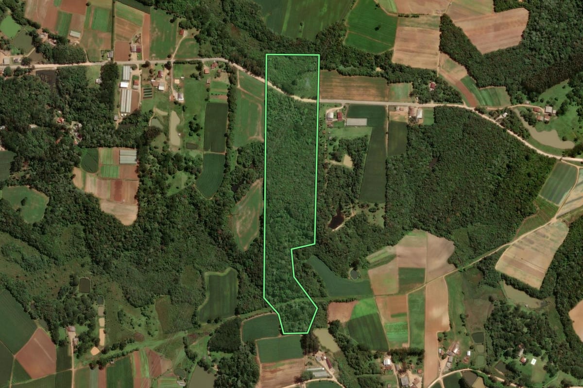 Imagem de satélite do imóvel rural em São José dos Pinhais (PR), com o contorno declarado no CAR desenhado por cima.