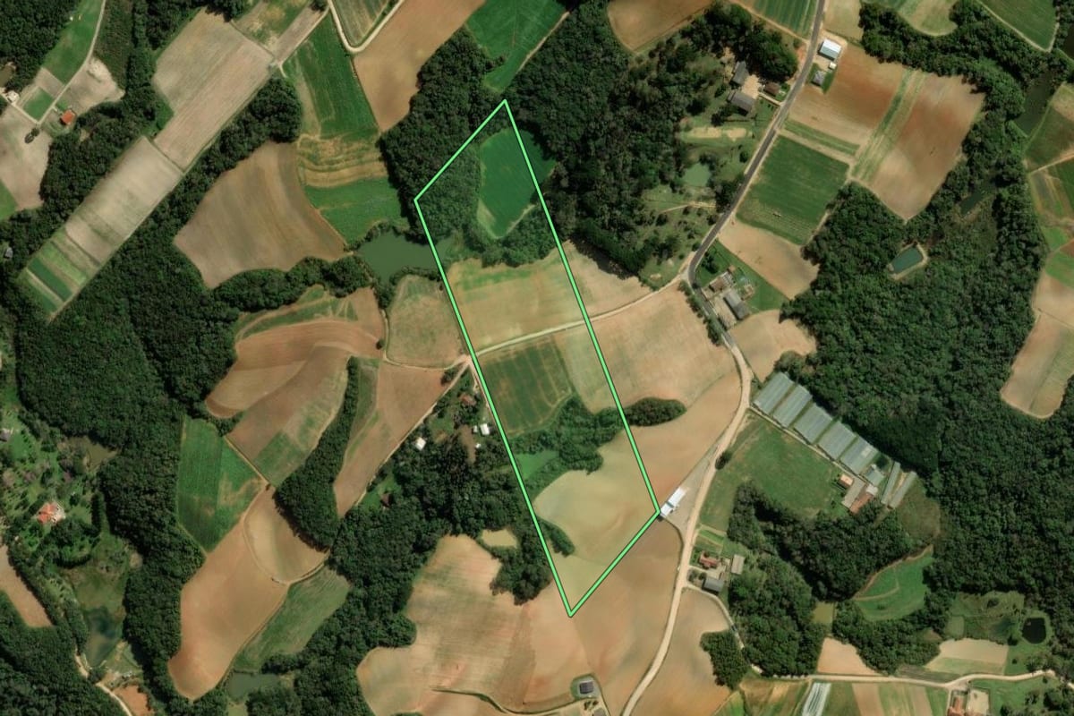 Imagem de satélite do imóvel rural em São José dos Pinhais (PR), com o contorno declarado no CAR desenhado por cima.