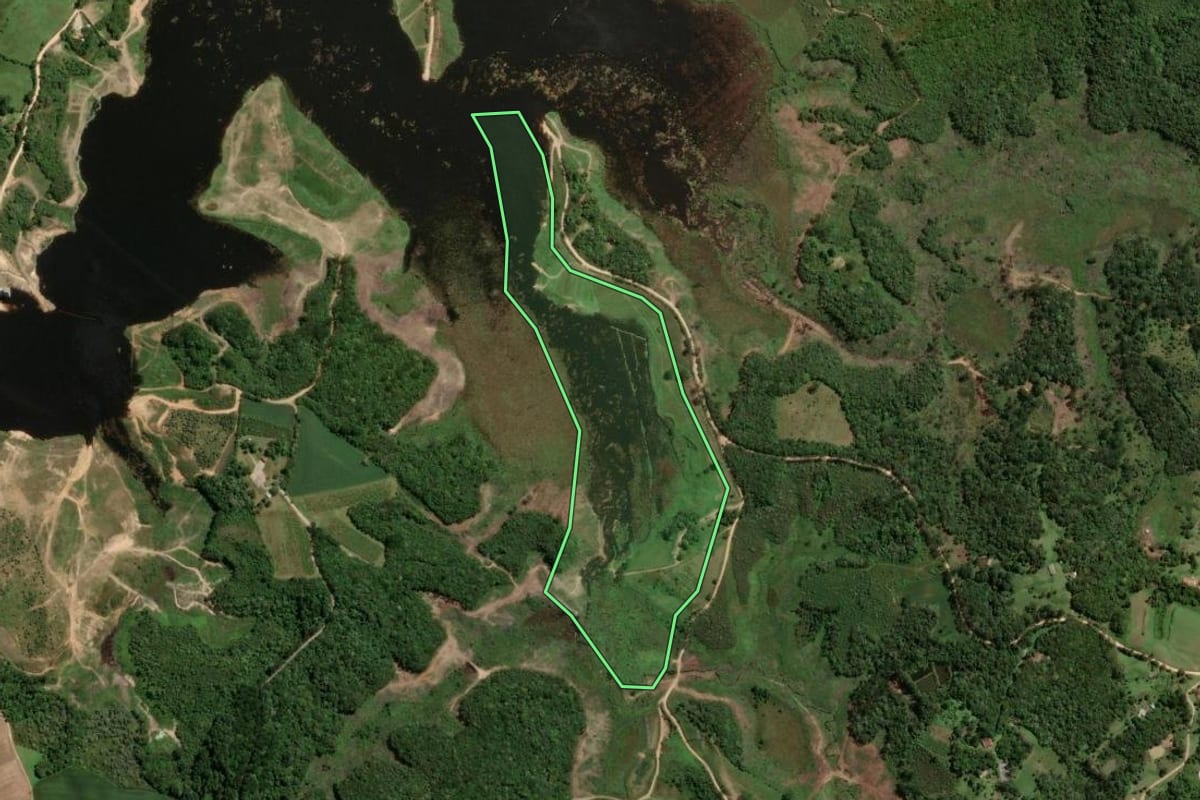 Imagem de satélite do imóvel rural em São José dos Pinhais (PR), com o contorno declarado no CAR desenhado por cima.