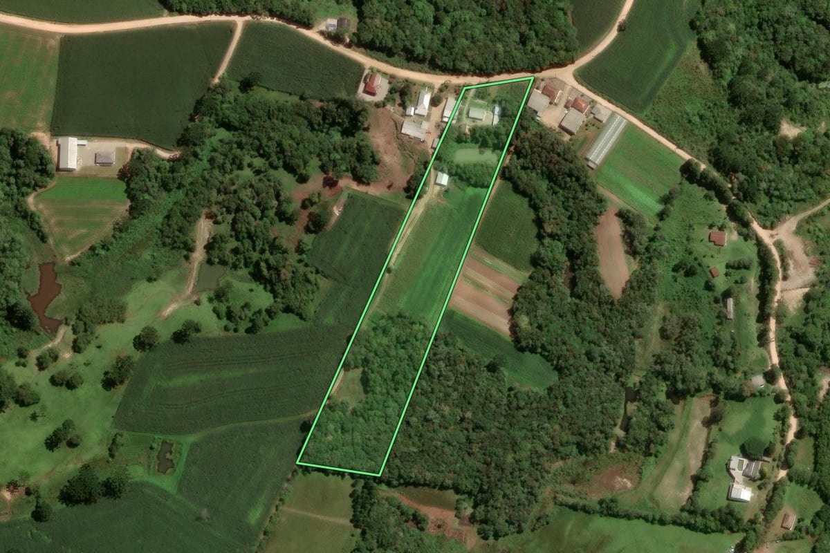 Imagem de satélite do imóvel rural em São José dos Pinhais (PR), com o contorno declarado no CAR desenhado por cima.