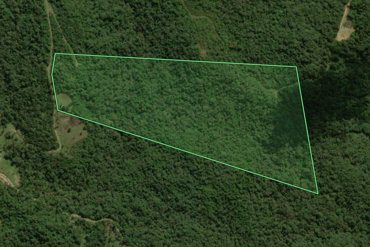 Imagem de satélite do imóvel rural em São José dos Pinhais (PR), com o contorno declarado no CAR desenhado por cima.