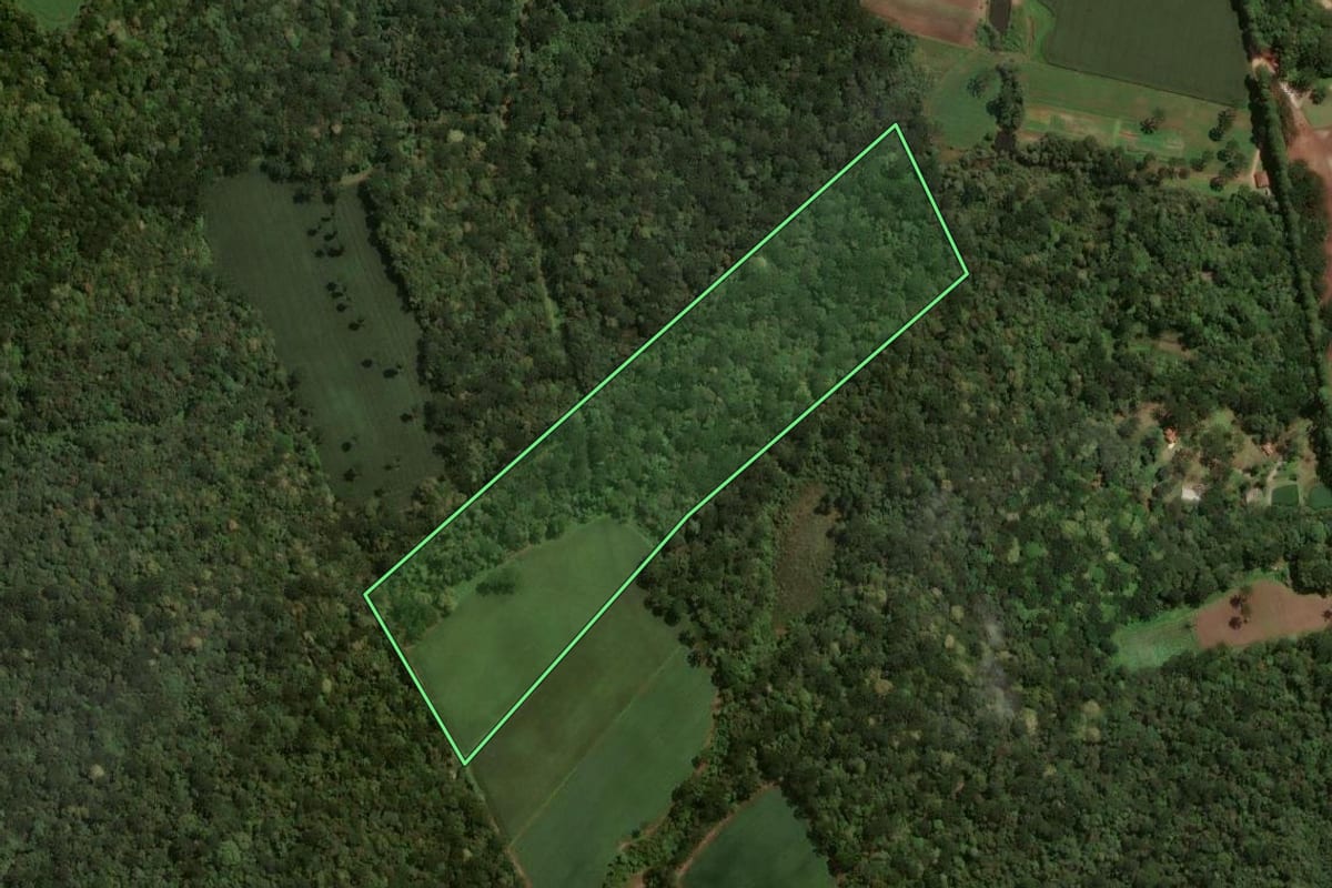 Imagem de satélite do imóvel rural em São José dos Pinhais (PR), com o contorno declarado no CAR desenhado por cima.