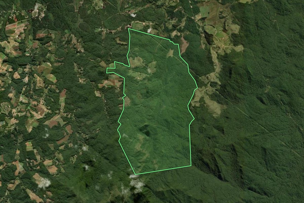 Imagem de satélite do imóvel rural em São José dos Pinhais (PR), com o contorno declarado no CAR desenhado por cima.