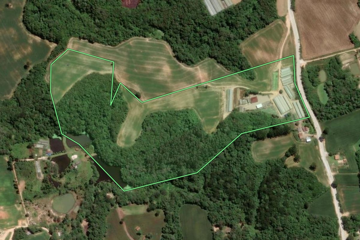 Imagem de satélite do imóvel rural em São José dos Pinhais (PR), com o contorno declarado no CAR desenhado por cima.