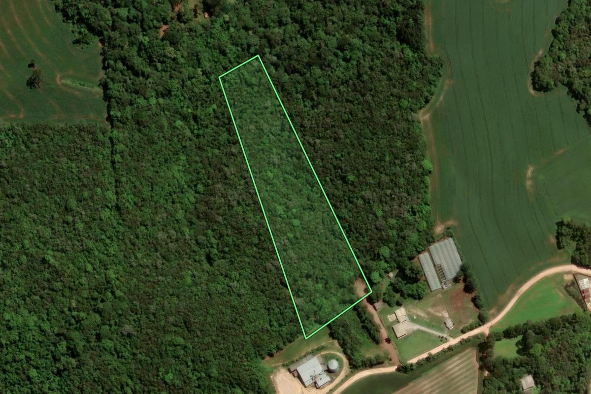 Imagem de satélite do imóvel rural em São José dos Pinhais (PR), com o contorno declarado no CAR desenhado por cima.