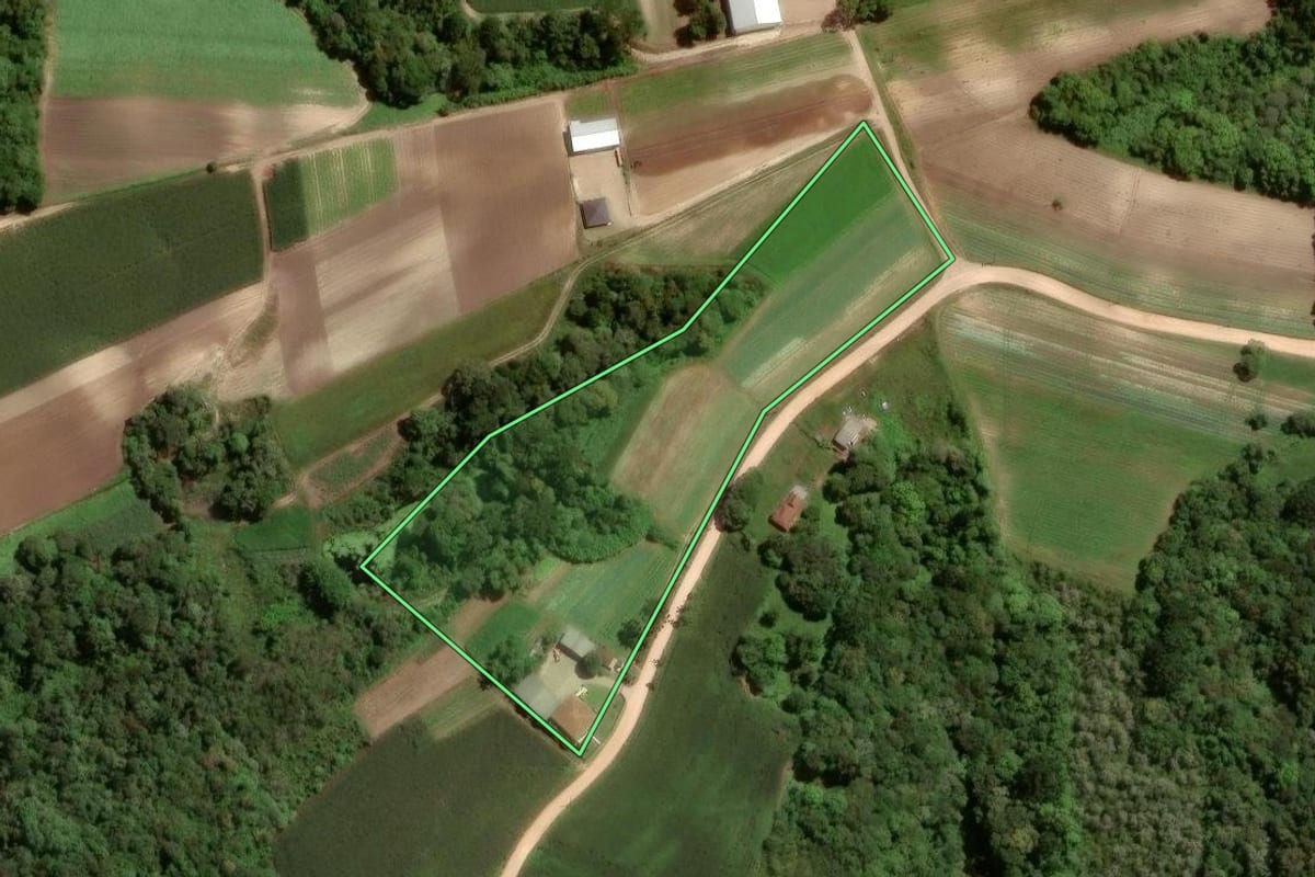 Imagem de satélite do imóvel rural em São José dos Pinhais (PR), com o contorno declarado no CAR desenhado por cima.