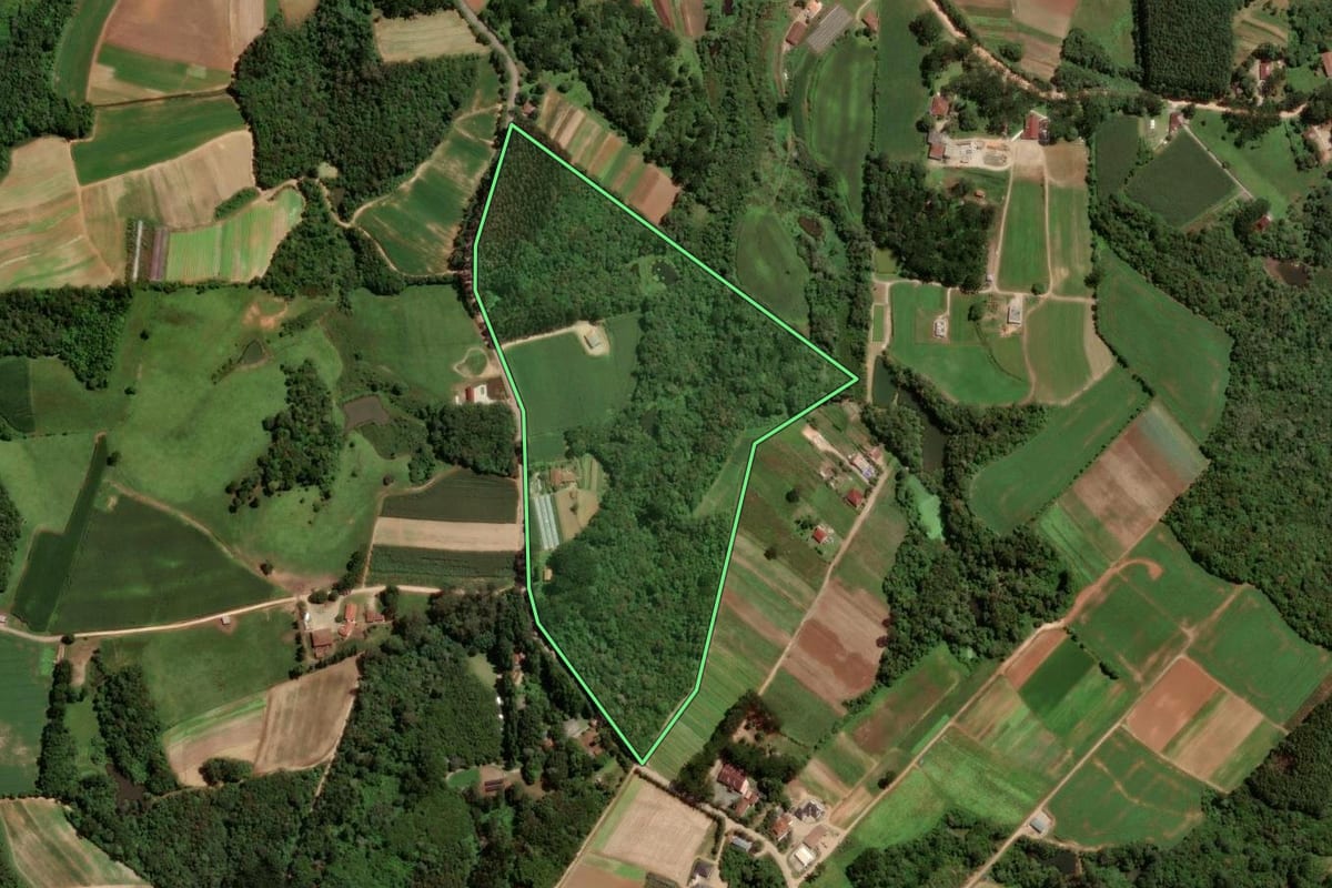 Imagem de satélite do imóvel rural em São José dos Pinhais (PR), com o contorno declarado no CAR desenhado por cima.