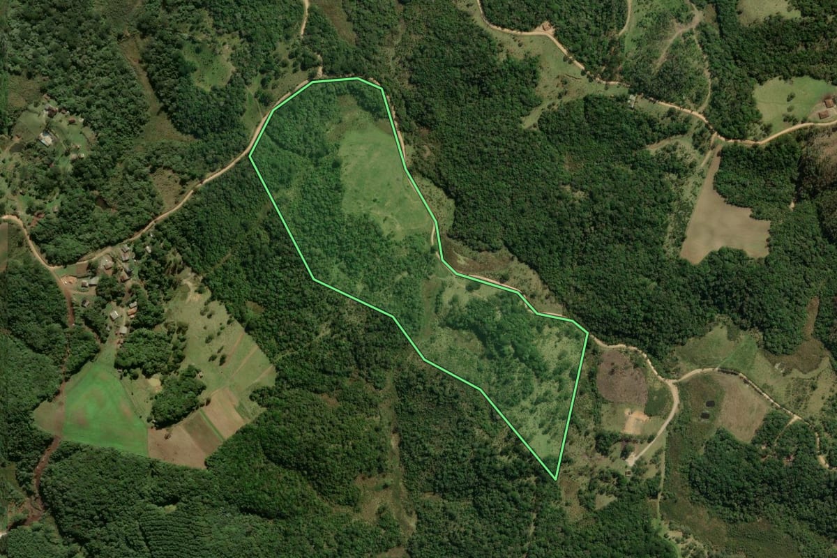 Imagem de satélite do imóvel rural em São José dos Pinhais (PR), com o contorno declarado no CAR desenhado por cima.