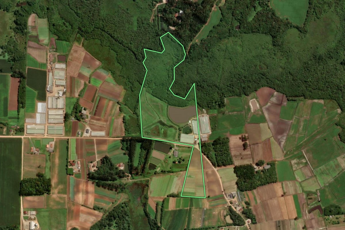 Imagem de satélite do imóvel rural em São José dos Pinhais (PR), com o contorno declarado no CAR desenhado por cima.