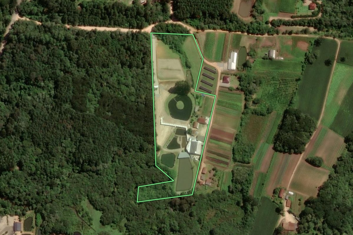 Imagem de satélite do imóvel rural em São José dos Pinhais (PR), com o contorno declarado no CAR desenhado por cima.