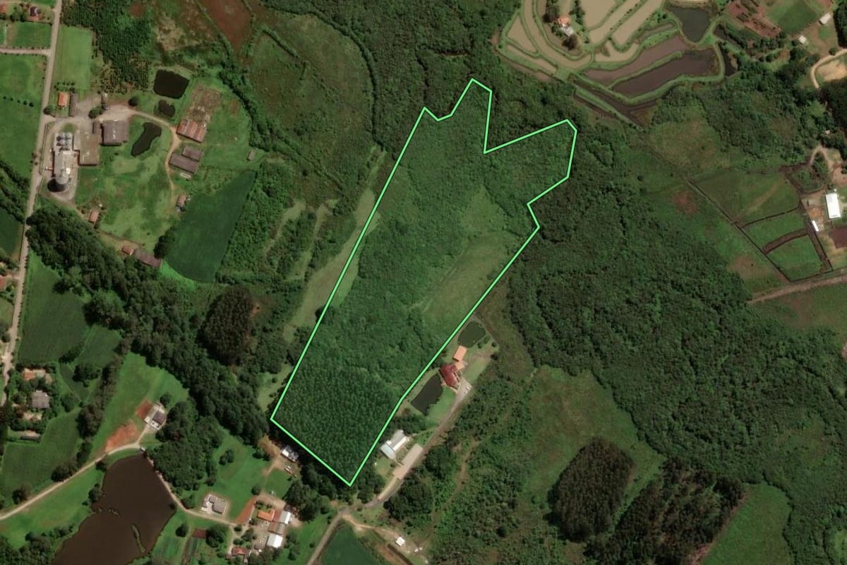 Imagem de satélite do imóvel rural em São José dos Pinhais (PR), com o contorno declarado no CAR desenhado por cima.