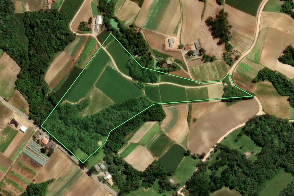 Imagem de satélite do imóvel rural em São José dos Pinhais (PR), com o contorno declarado no CAR desenhado por cima.