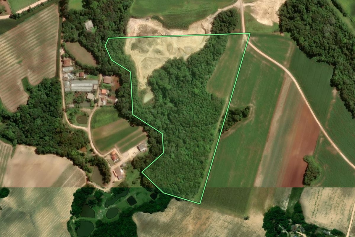 Imagem de satélite do imóvel rural em São José dos Pinhais (PR), com o contorno declarado no CAR desenhado por cima.