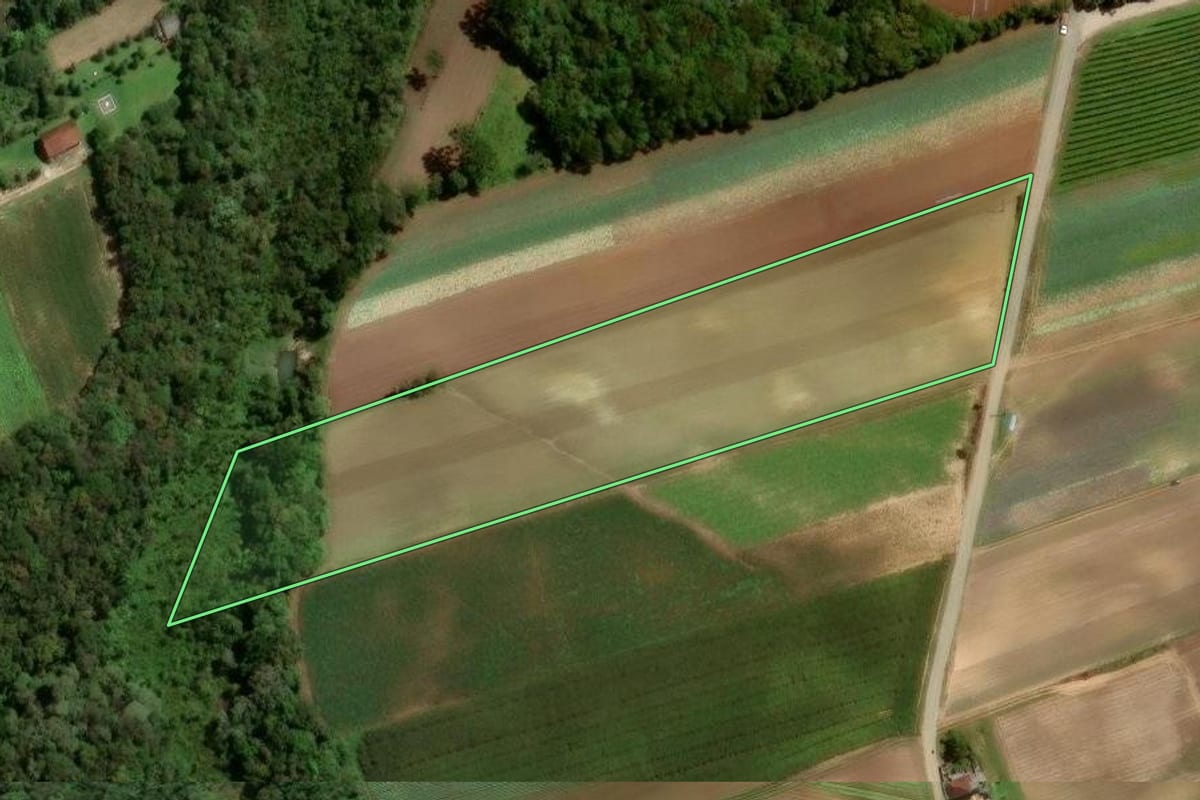 Imagem de satélite do imóvel rural em São José dos Pinhais (PR), com o contorno declarado no CAR desenhado por cima.