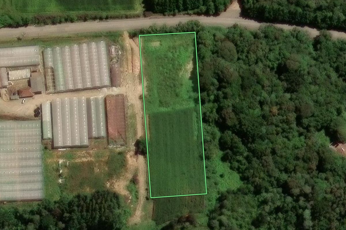 Imagem de satélite do imóvel rural em São José dos Pinhais (PR), com o contorno declarado no CAR desenhado por cima.