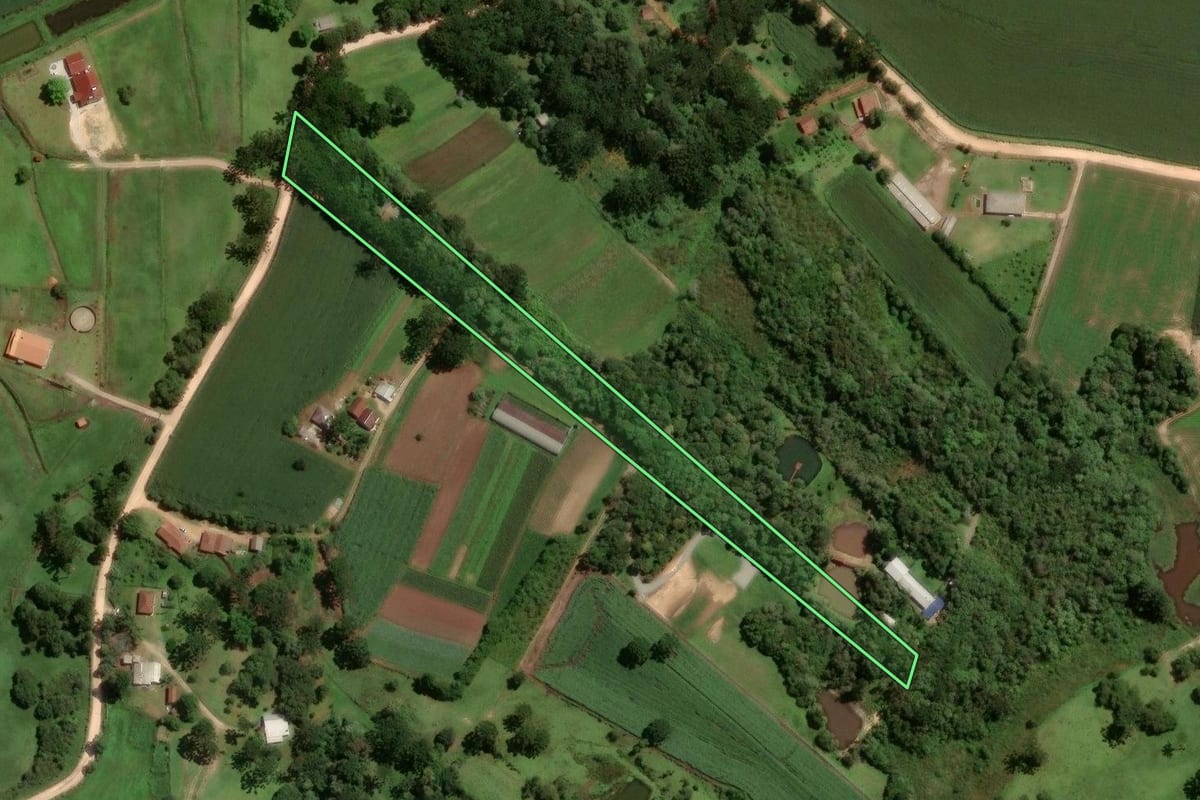 Imagem de satélite do imóvel rural em São José dos Pinhais (PR), com o contorno declarado no CAR desenhado por cima.