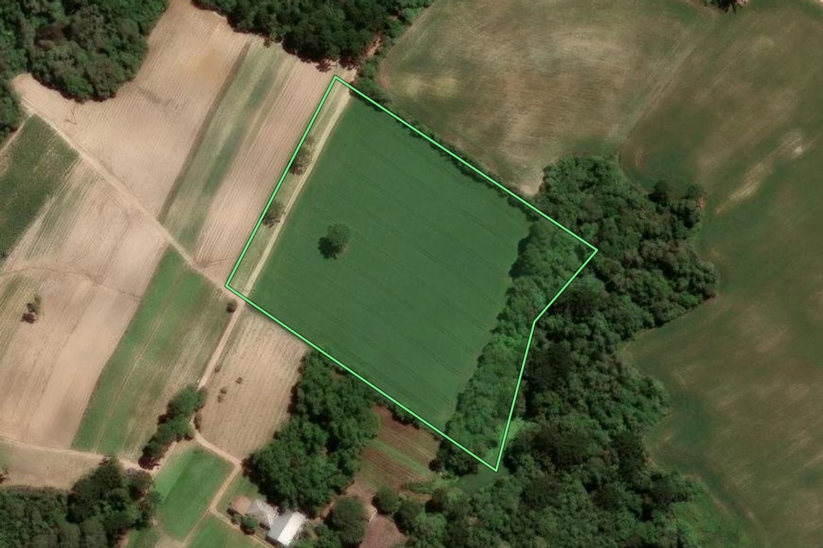 Imagem de satélite do imóvel rural em São José dos Pinhais (PR), com o contorno declarado no CAR desenhado por cima.