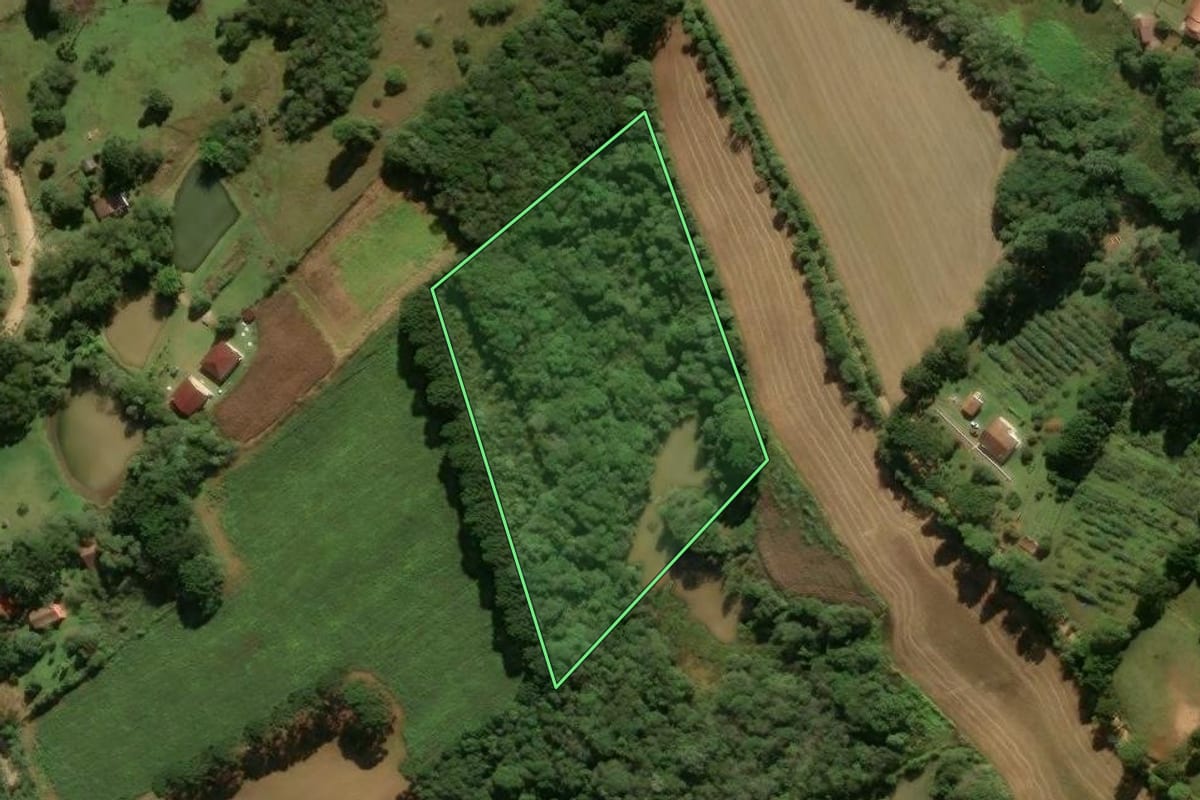 Imagem de satélite do imóvel rural em São José dos Pinhais (PR), com o contorno declarado no CAR desenhado por cima.