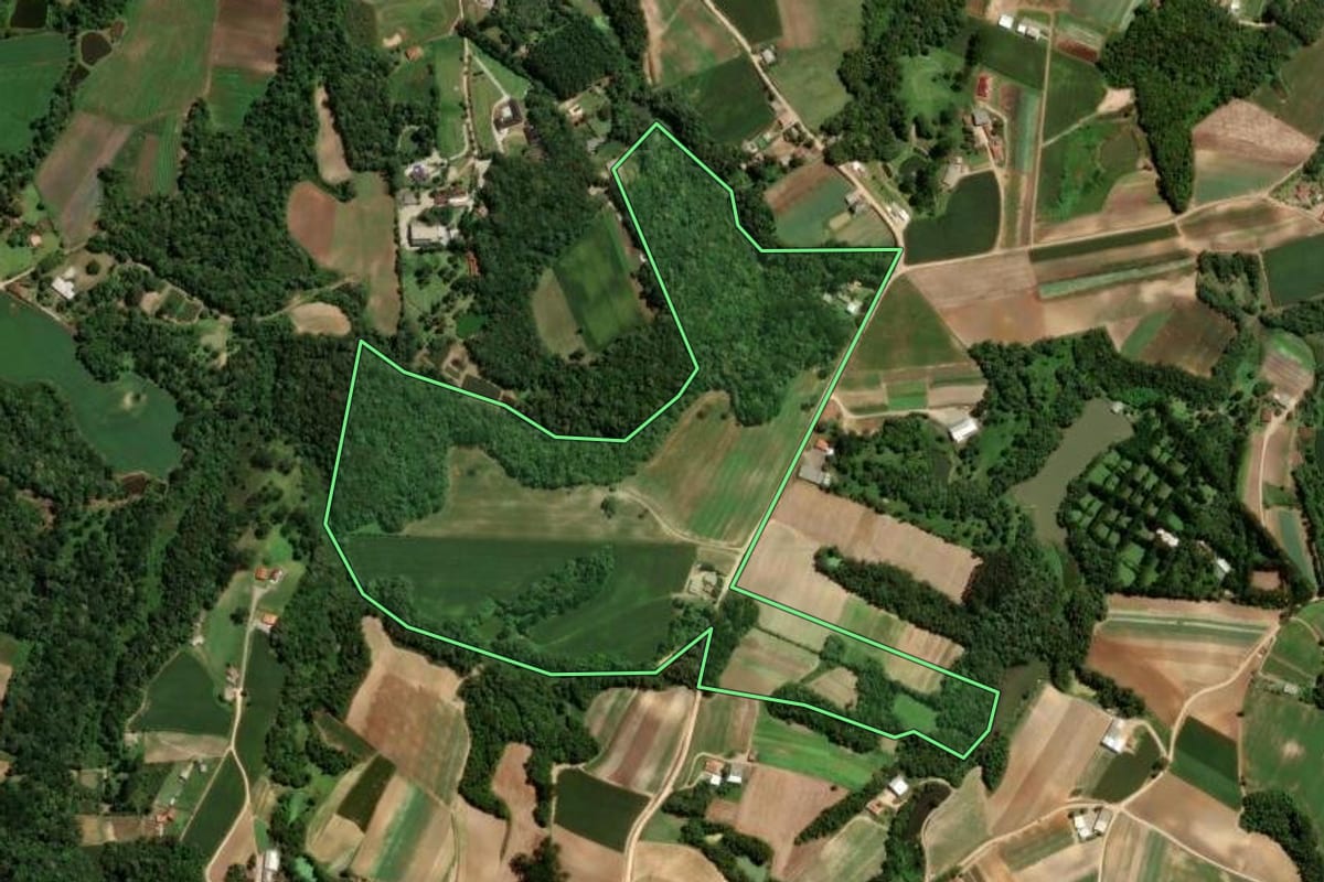 Imagem de satélite do imóvel rural em São José dos Pinhais (PR), com o contorno declarado no CAR desenhado por cima.
