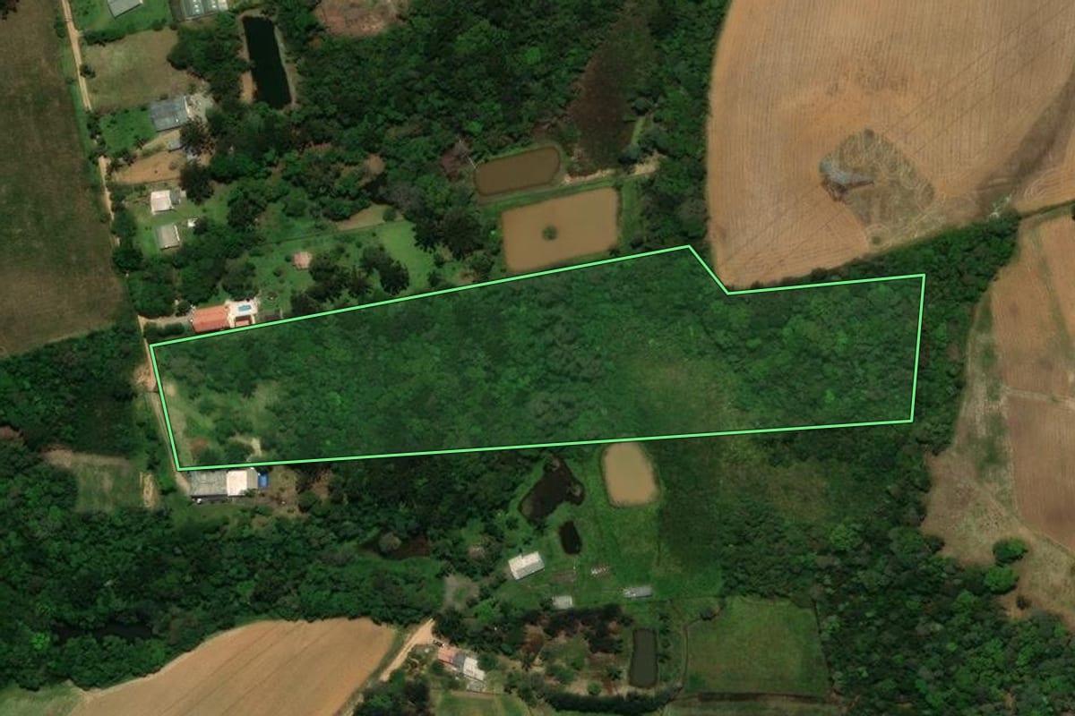 Imagem de satélite do imóvel rural em São José dos Pinhais (PR), com o contorno declarado no CAR desenhado por cima.