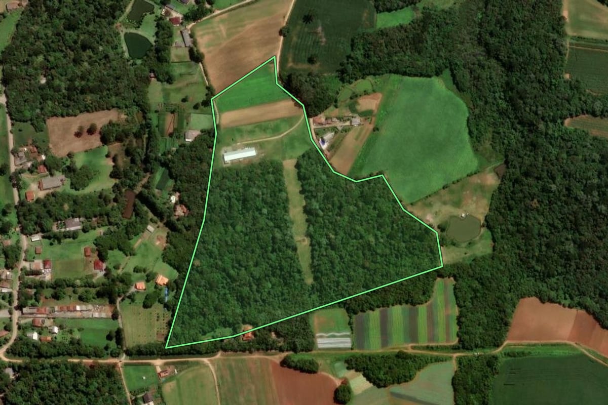 Imagem de satélite do imóvel rural em São José dos Pinhais (PR), com o contorno declarado no CAR desenhado por cima.