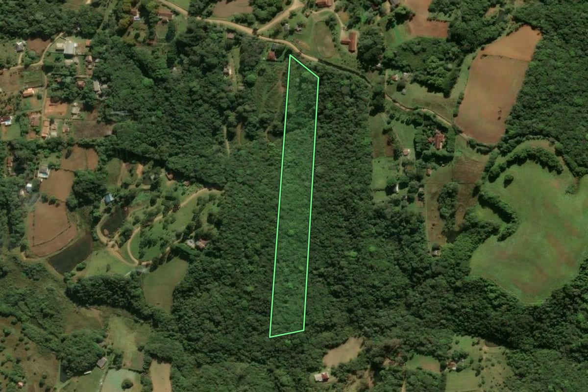 Imagem de satélite do imóvel rural em São José dos Pinhais (PR), com o contorno declarado no CAR desenhado por cima.