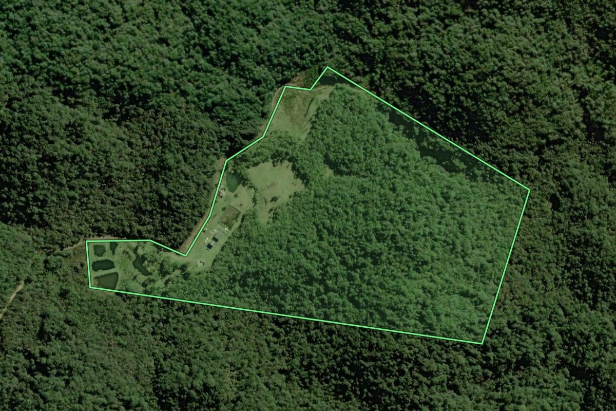 Imagem de satélite do imóvel rural em São José dos Pinhais (PR), com o contorno declarado no CAR desenhado por cima.