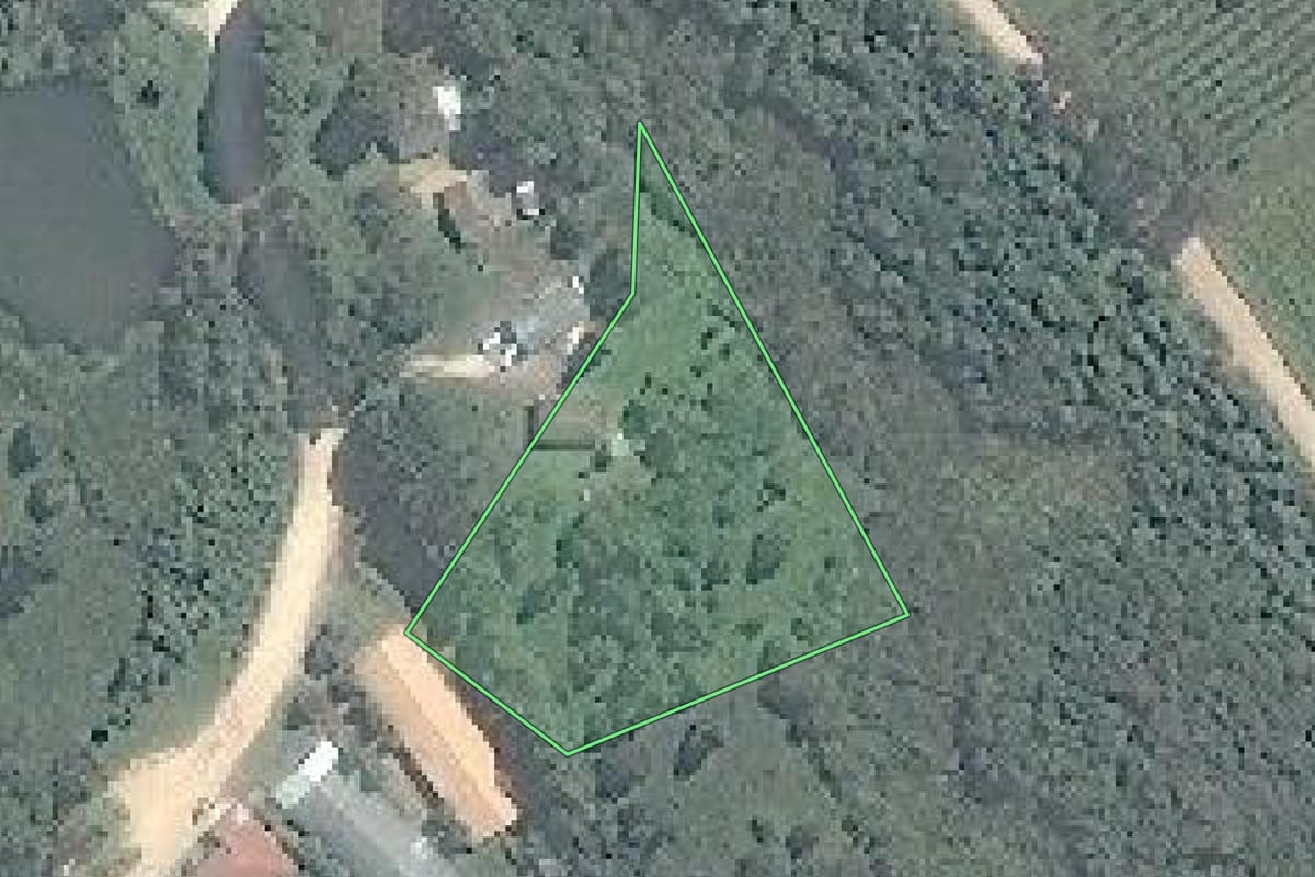 Imagem de satélite do imóvel rural em São José dos Pinhais (PR), com o contorno declarado no CAR desenhado por cima.