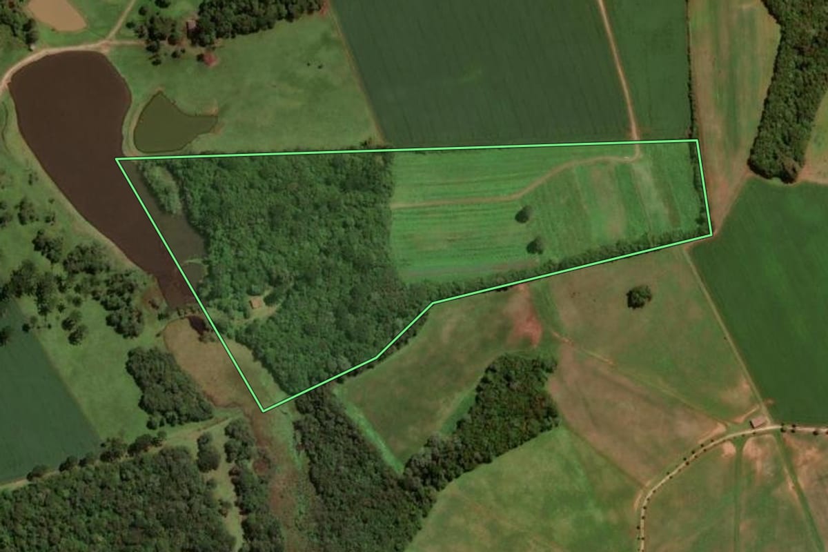 Imagem de satélite do imóvel rural em São José dos Pinhais (PR), com o contorno declarado no CAR desenhado por cima.