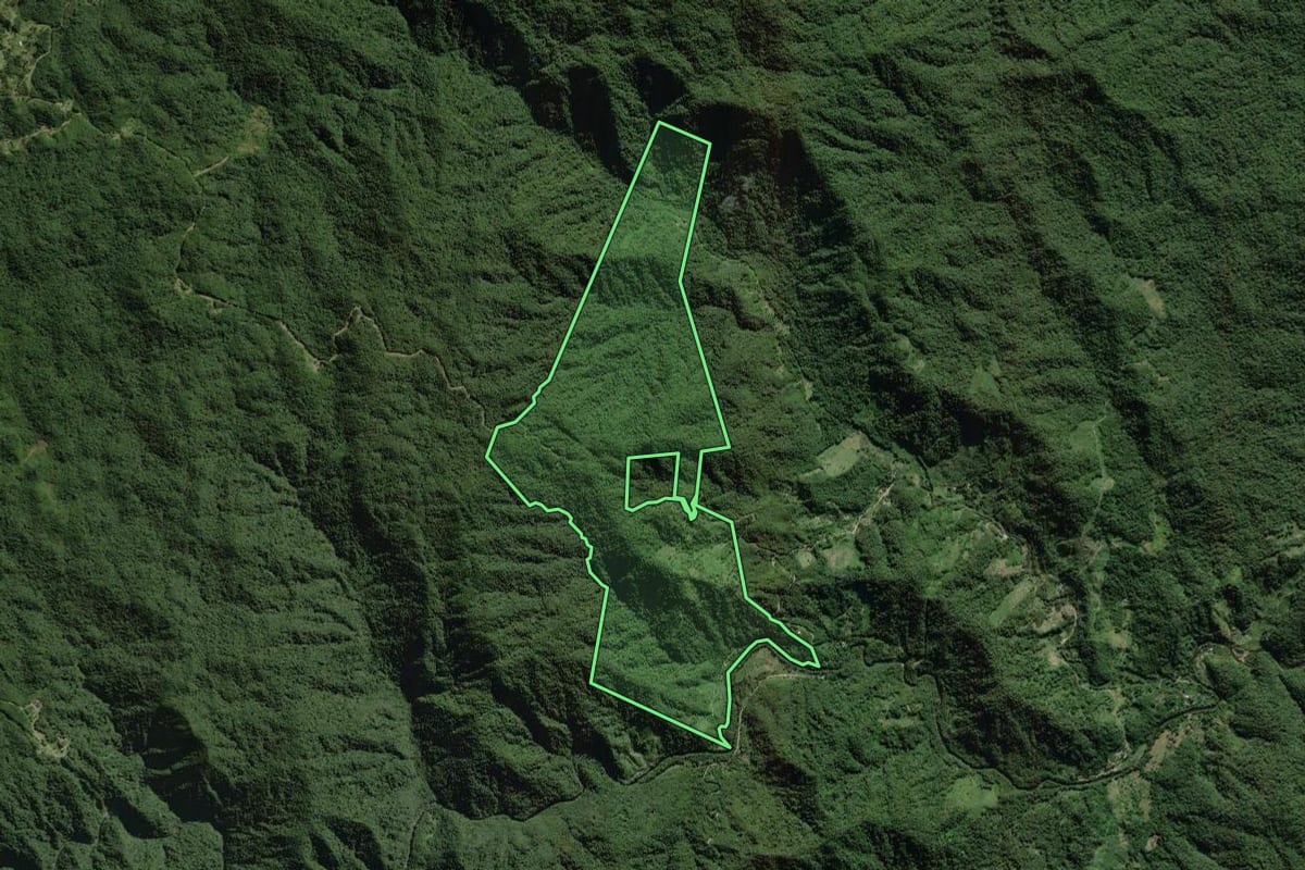 Imagem de satélite do imóvel rural em São José dos Pinhais (PR), com o contorno declarado no CAR desenhado por cima.