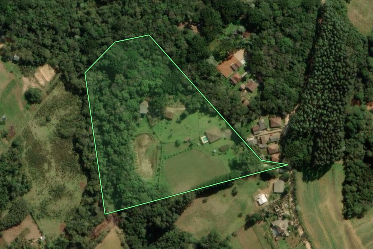 Imagem de satélite do imóvel rural em São José dos Pinhais (PR), com o contorno declarado no CAR desenhado por cima.