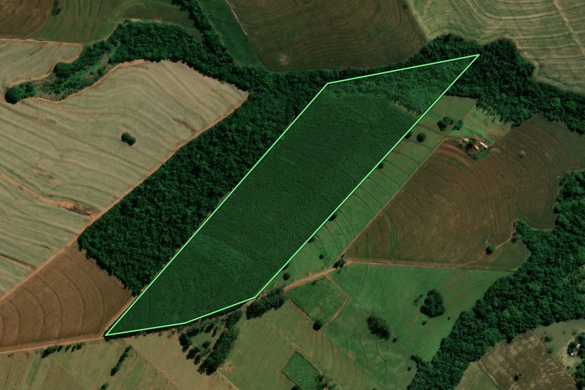 Imagem de satélite do imóvel rural em São Manoel do Paraná (PR), com o contorno declarado no CAR desenhado por cima.