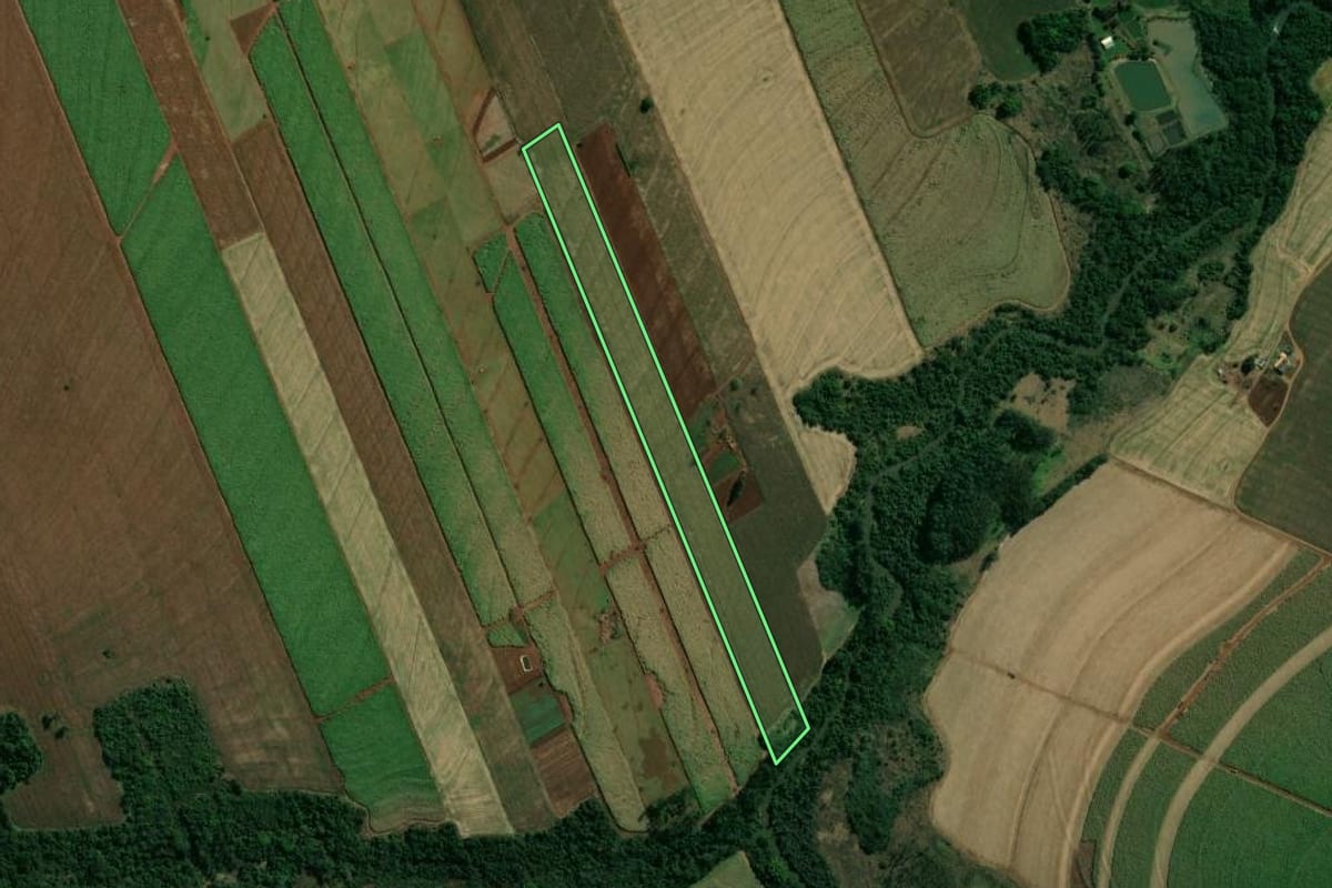 Imagem de satélite do imóvel rural em São Manoel do Paraná (PR), com o contorno declarado no CAR desenhado por cima.